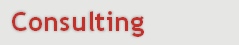  Consulting
